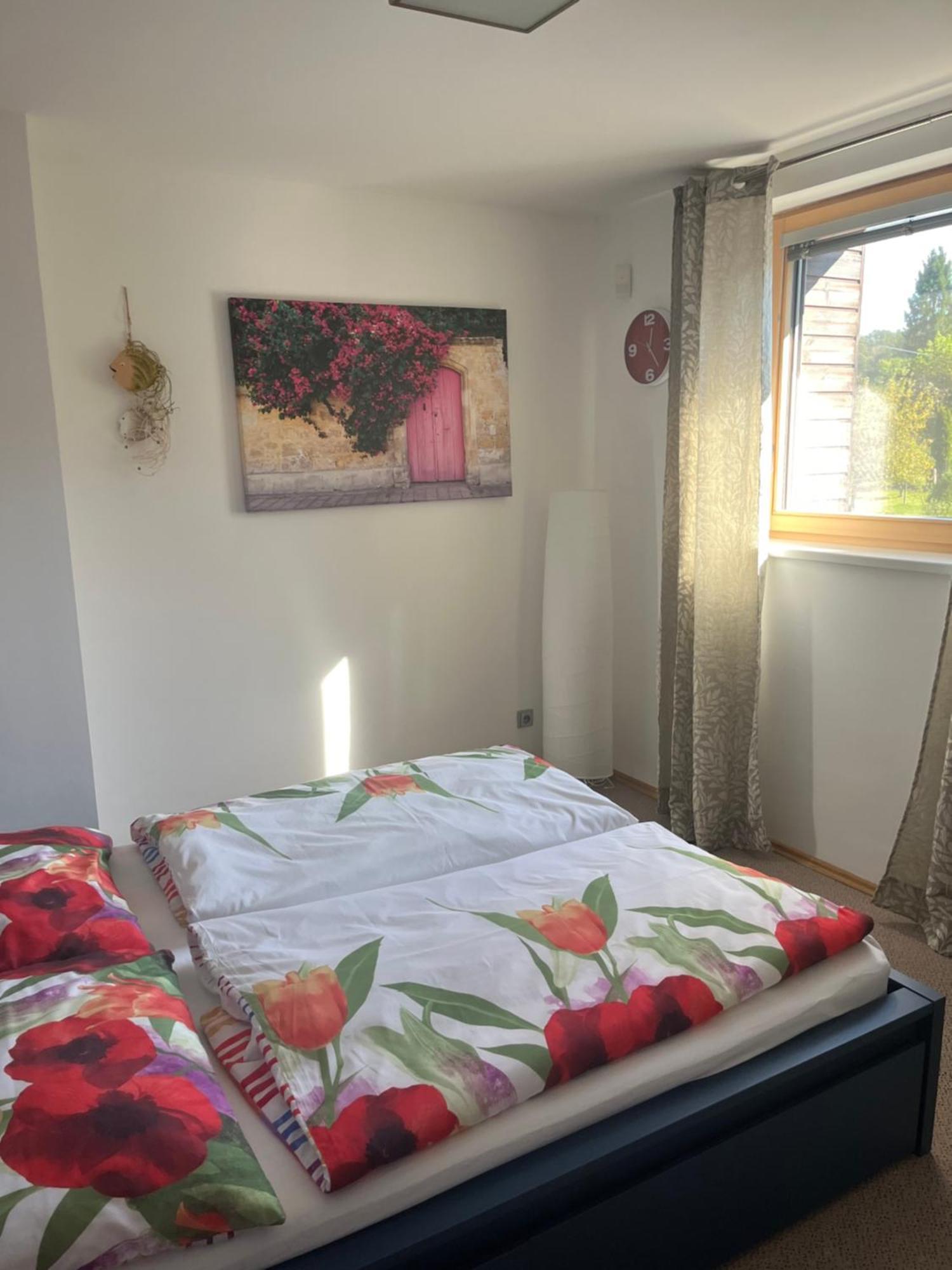 Apartman S Wellness Sluzbami Čerčany エクステリア 写真